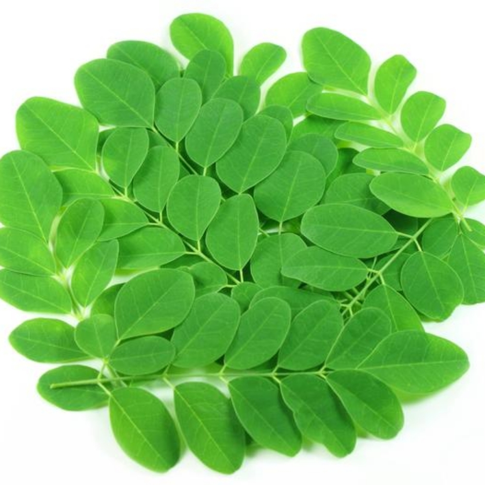 Moringa Seeds